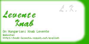 levente knab business card